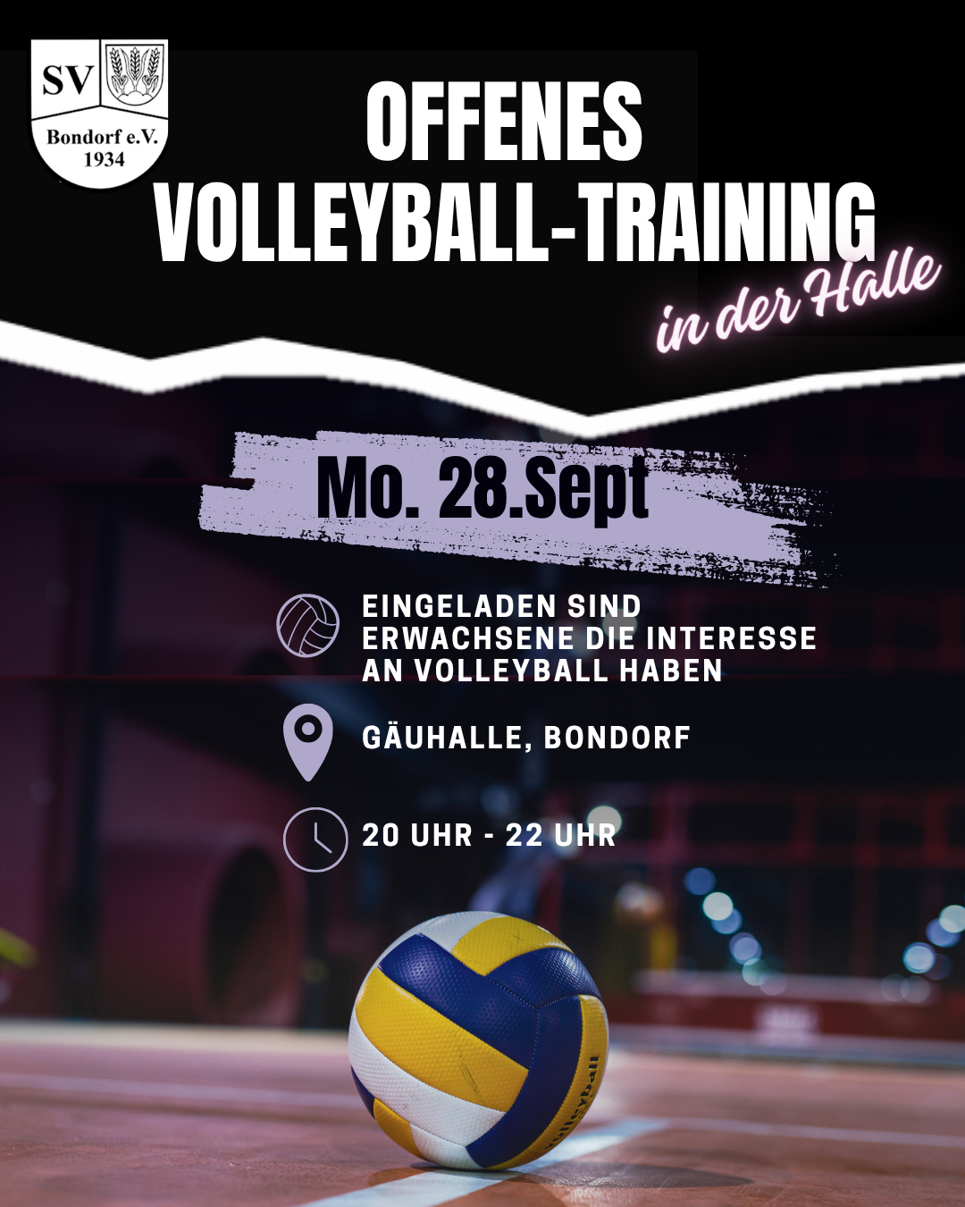 Flyer zur Einladung zum offenen Volleyballtraining
